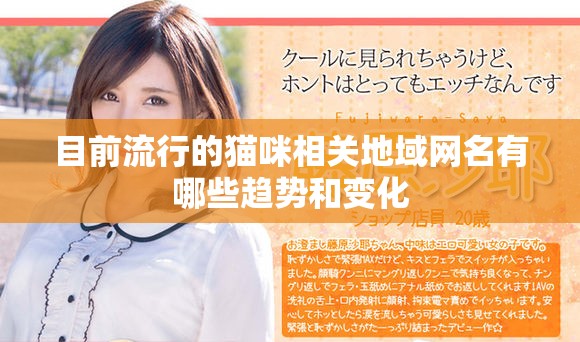 目前流行的猫咪相关地域网名有哪些趋势和变化