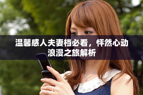 温馨感人夫妻档必看，怦然心动浪漫之旅解析