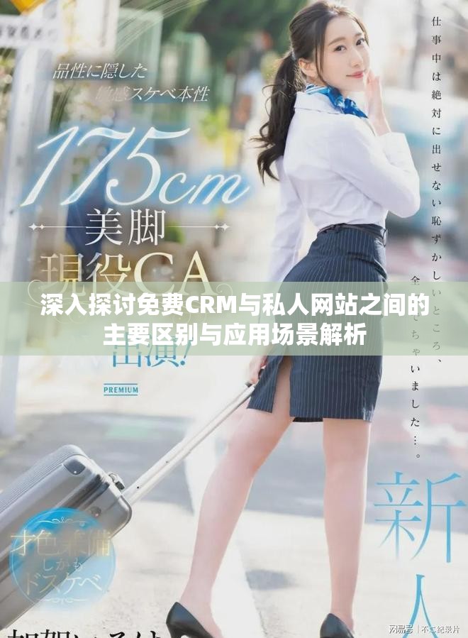 深入探讨免费CRM与私人网站之间的主要区别与应用场景解析