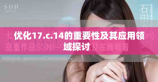 优化17.c.14的重要性及其应用领域探讨  
