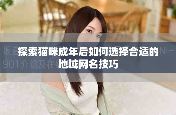 探索猫咪成年后如何选择合适的地域网名技巧