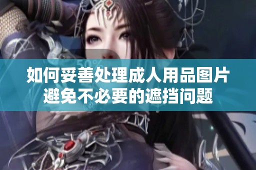 如何妥善处理成人用品图片避免不必要的遮挡问题