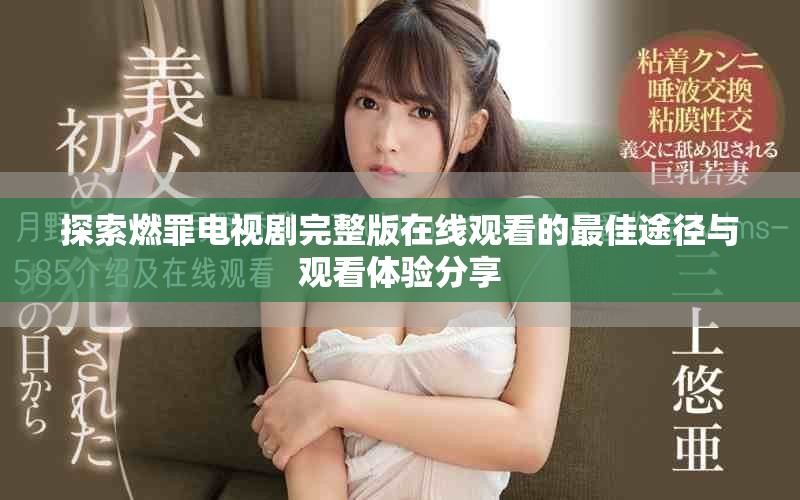 探索燃罪电视剧完整版在线观看的最佳途径与观看体验分享