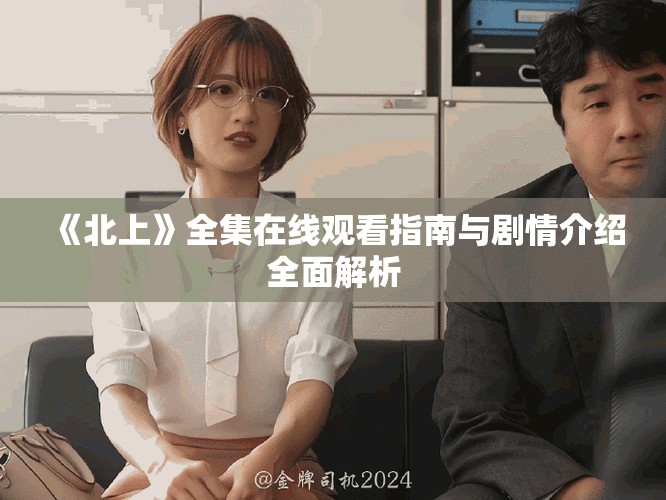 《北上》全集在线观看指南与剧情介绍全面解析