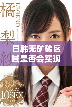 日韩无矿砖区域是否会实现转变与发展潜力分析