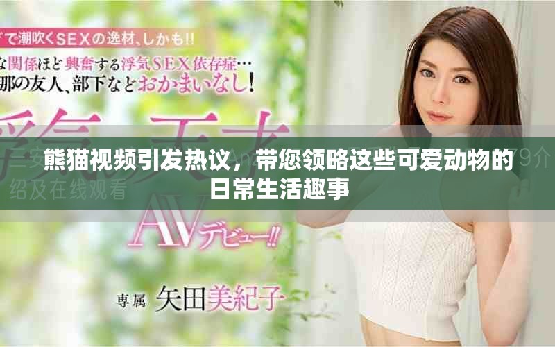 熊猫视频引发热议，带您领略这些可爱动物的日常生活趣事