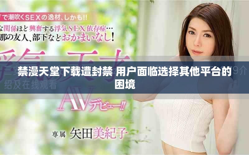 禁漫天堂下载遭封禁 用户面临选择其他平台的困境