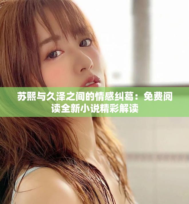 苏熙与久泽之间的情感纠葛：免费阅读全新小说精彩解读