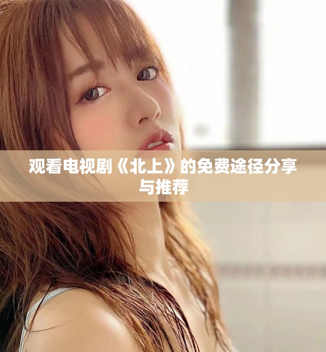 观看电视剧《北上》的免费途径分享与推荐