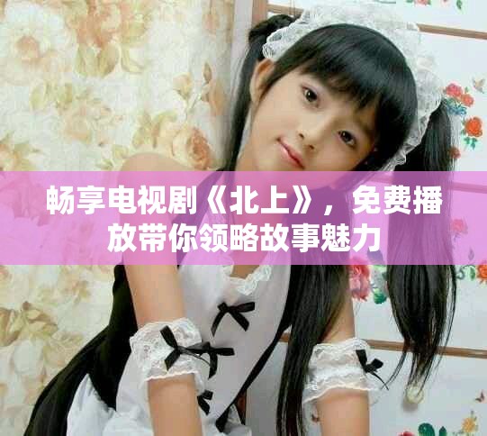 畅享电视剧《北上》，免费播放带你领略故事魅力