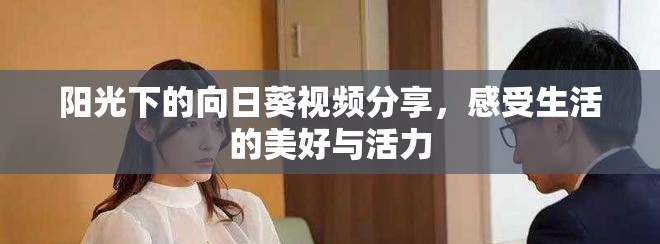 阳光下的向日葵视频分享，感受生活的美好与活力