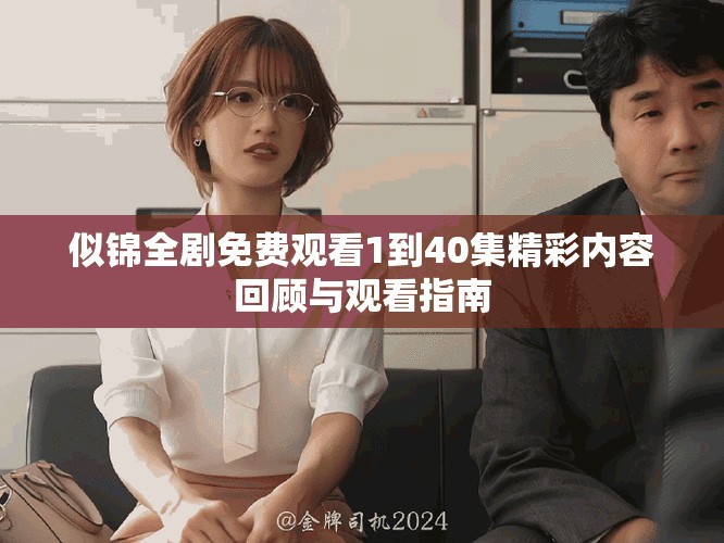 似锦全剧免费观看1到40集精彩内容回顾与观看指南