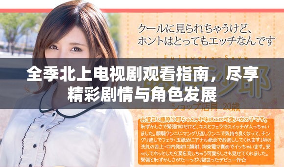 全季北上电视剧观看指南，尽享精彩剧情与角色发展