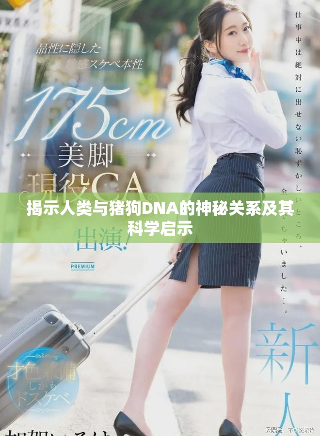 揭示人类与猪狗DNA的神秘关系及其科学启示