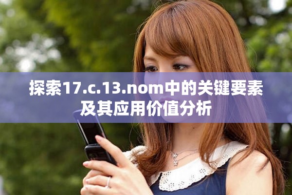 探索17.c.13.nom中的关键要素及其应用价值分析