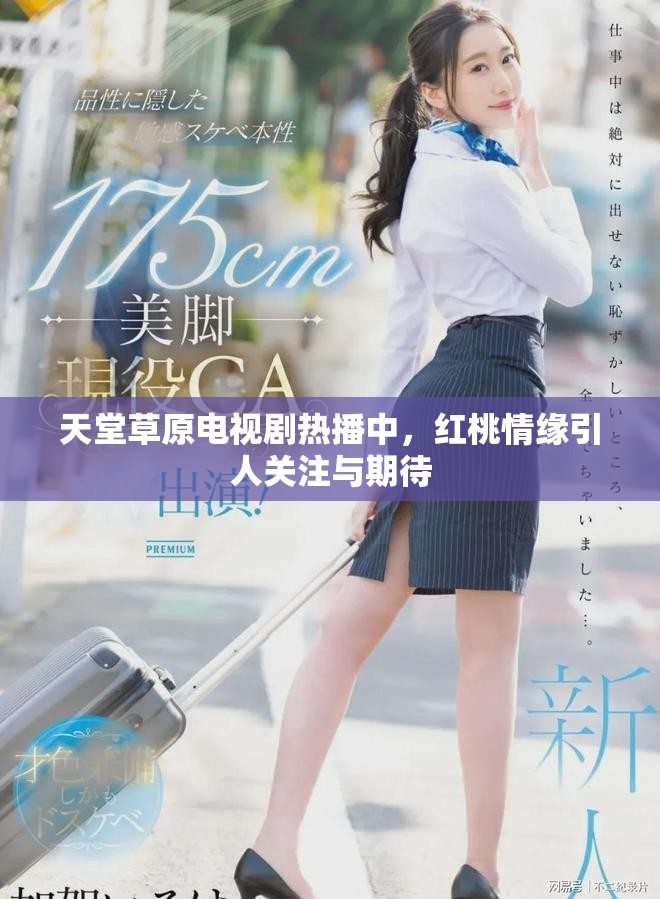 天堂草原电视剧热播中，红桃情缘引人关注与期待