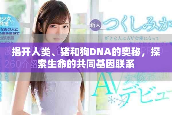 揭开人类、猪和狗DNA的奥秘，探索生命的共同基因联系