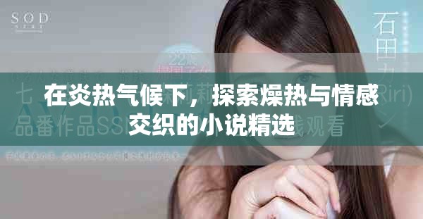 在炎热气候下，探索燥热与情感交织的小说精选