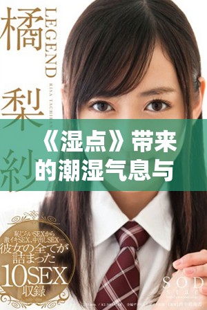 《湿点》带来的潮湿气息与温暖情感的深层探讨与阐释