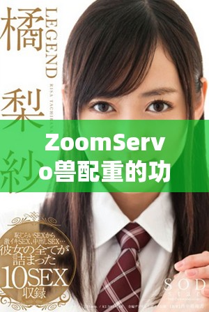 ZoomServo兽配重的功能与应用解析探讨