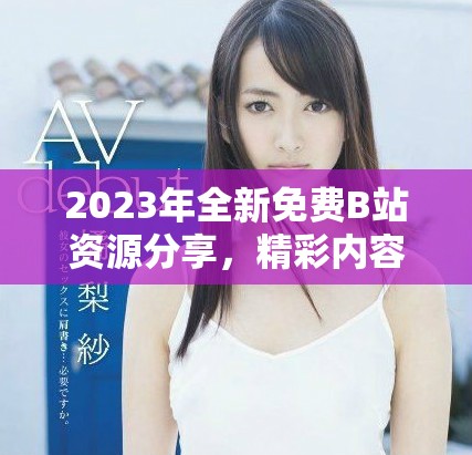 2023年全新免费B站资源分享，精彩内容任你享受