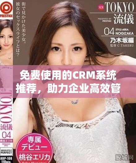 免费使用的CRM系统推荐，助力企业高效管理客户关系