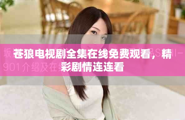 苍狼电视剧全集在线免费观看，精彩剧情连连看