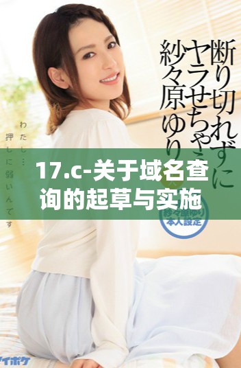 17.c-关于域名查询的起草与实施方案探讨