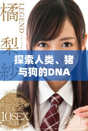 探索人类、猪与狗的DNA奇妙关系视频解析与比较