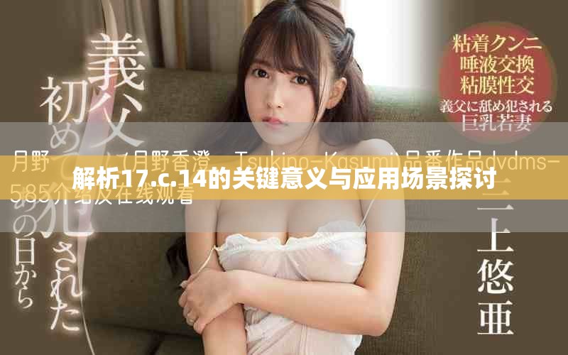 解析17.c.14的关键意义与应用场景探讨