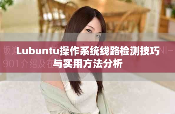 Lubuntu操作系统线路检测技巧与实用方法分析