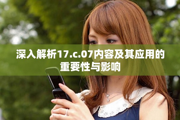 深入解析17.c.07内容及其应用的重要性与影响