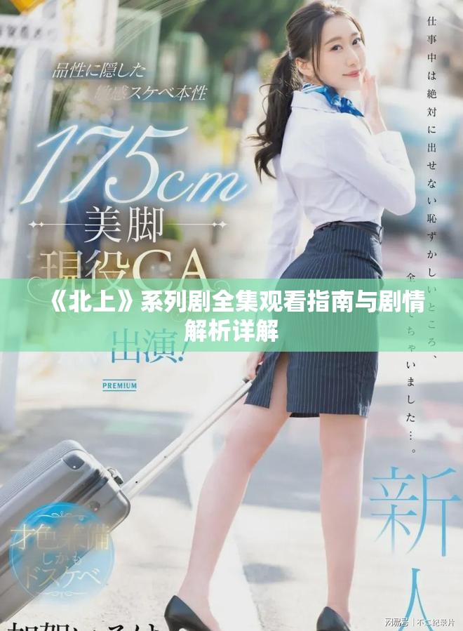 《北上》系列剧全集观看指南与剧情解析详解