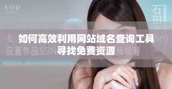 如何高效利用网站域名查询工具寻找免费资源