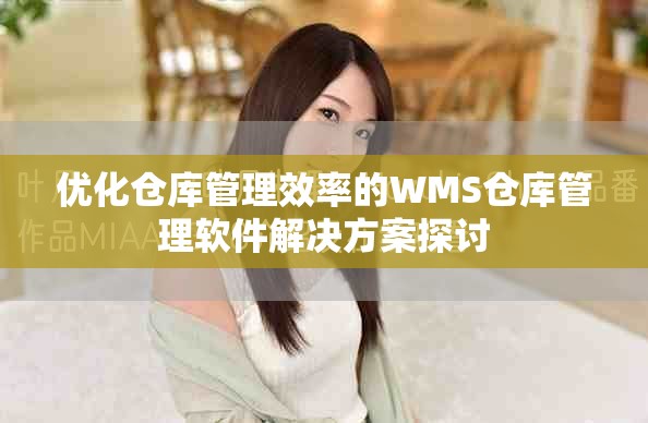 优化仓库管理效率的WMS仓库管理软件解决方案探讨