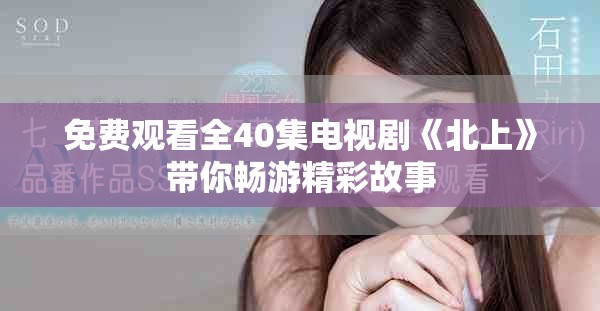 免费观看全40集电视剧《北上》带你畅游精彩故事