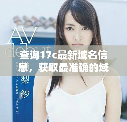 查询17c最新域名信息，获取最准确的域名数据