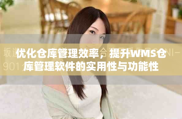 优化仓库管理效率，提升WMS仓库管理软件的实用性与功能性