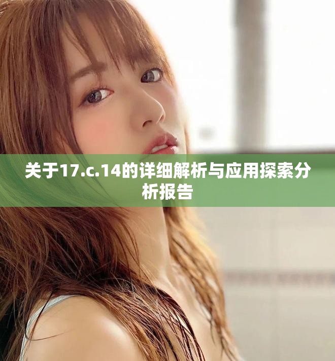 关于17.c.14的详细解析与应用探索分析报告