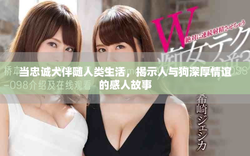 当忠诚犬伴随人类生活，揭示人与狗深厚情谊的感人故事