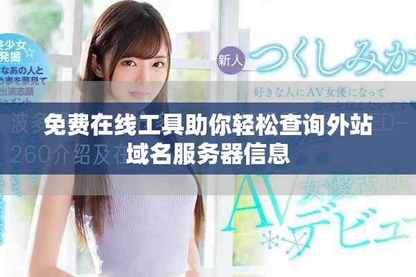 免费在线工具助你轻松查询外站域名服务器信息