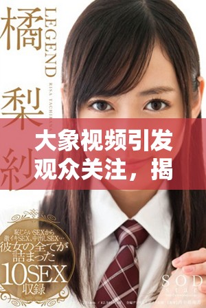 大象视频引发观众关注，揭示自然界的神秘与美丽