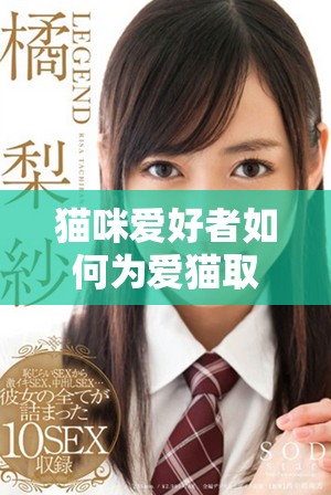 猫咪爱好者如何为爱猫取个富有地域特色的名字