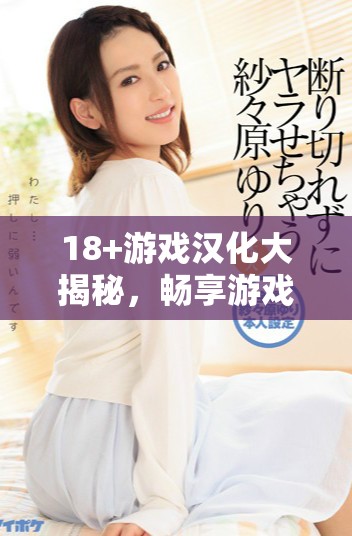 18+游戏汉化大揭秘，畅享游戏乐趣无极限