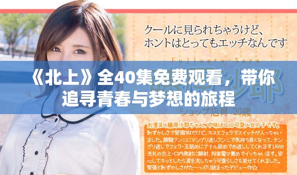 《北上》全40集免费观看，带你追寻青春与梦想的旅程