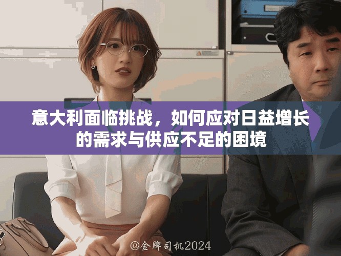 意大利面临挑战，如何应对日益增长的需求与供应不足的困境