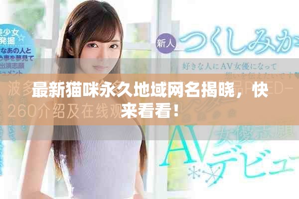 最新猫咪永久地域网名揭晓，快来看看！