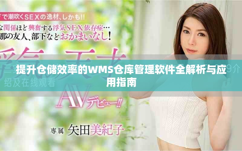 提升仓储效率的WMS仓库管理软件全解析与应用指南