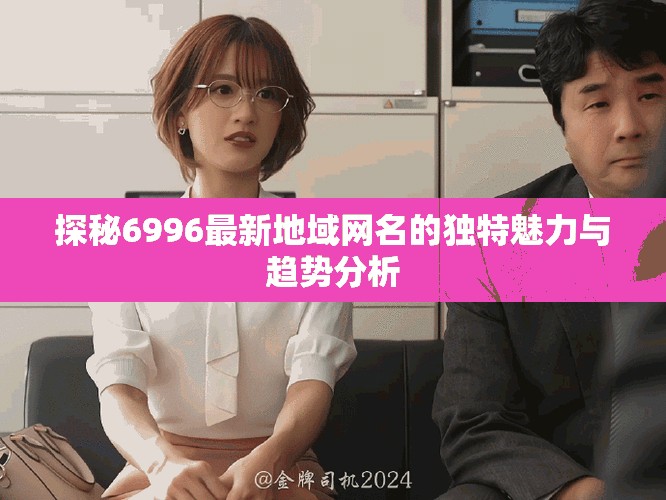 探秘6996最新地域网名的独特魅力与趋势分析