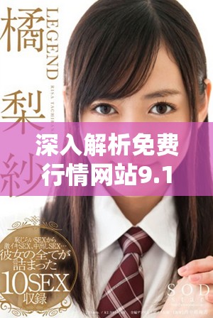 深入解析免费行情网站9.1版本的功能与用户体验提升
